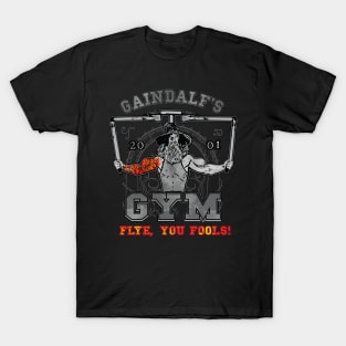 Gaindalf's Gym - Flye, You Fools! T-Shirt